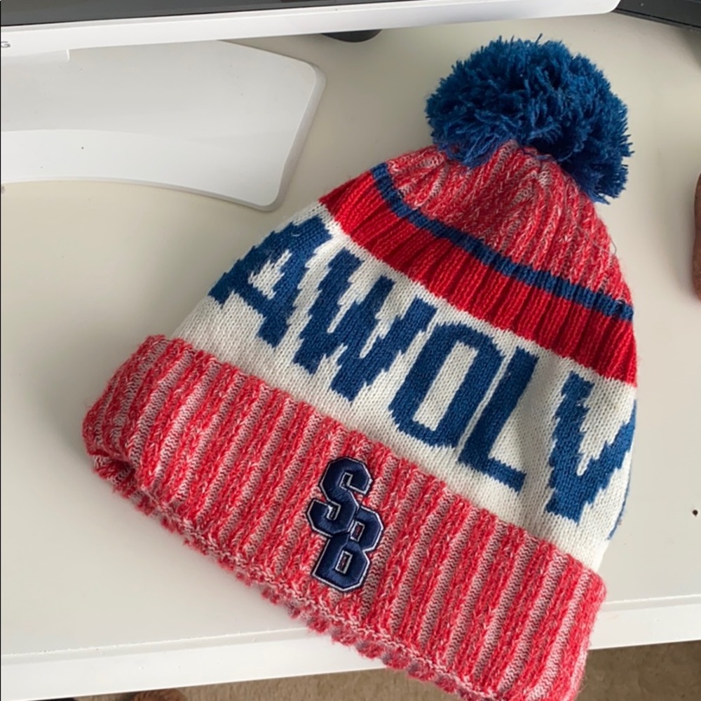 Stony Brook Seawolves Winter Hat Beanie